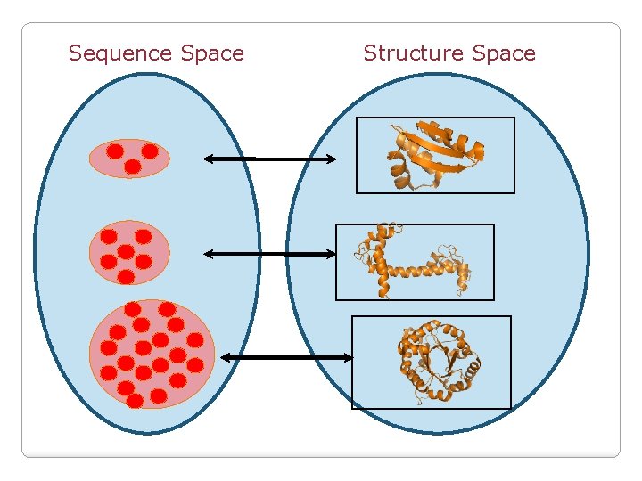 Sequence Space Structure Space 