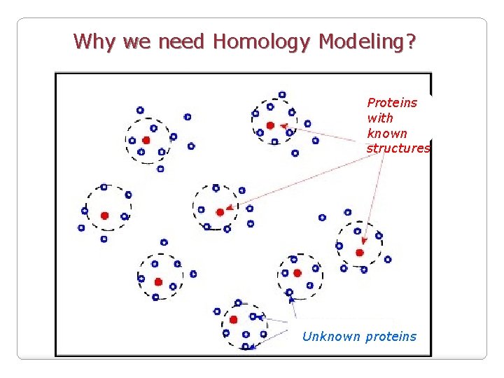 Why we need Homology Modeling? Proteins with known structures Unknown proteins 