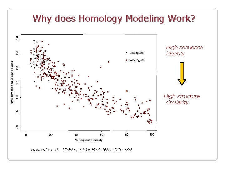 Why does Homology Modeling Work? High sequence identity High structure similarity Russell et al.
