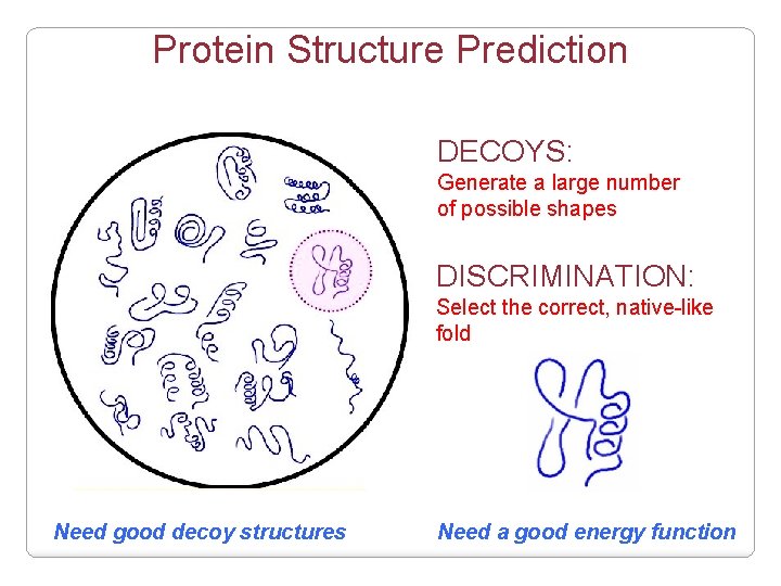 Protein Structure Prediction DECOYS: Generate a large number of possible shapes DISCRIMINATION: Select the