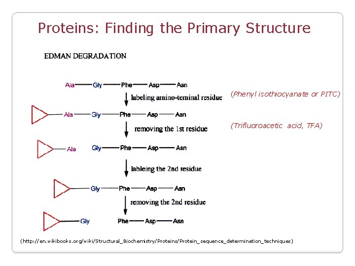 Proteins: Finding the Primary Structure (Phenyl isothiocyanate or PITC) (Trifluoroacetic acid, TFA) (http: //en.