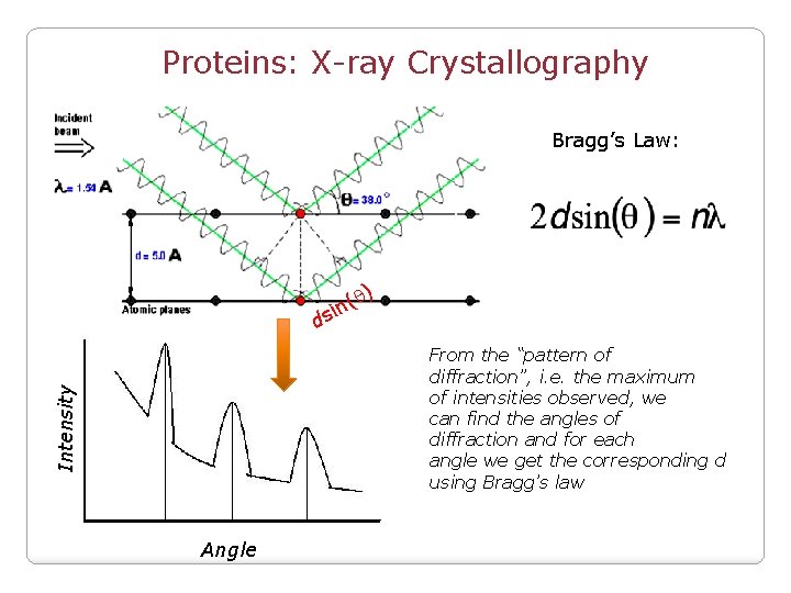 Proteins: X-ray Crystallography Bragg’s Law: d q) ( n si Intensity From the “pattern