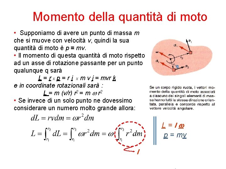 Momento della quantità di moto • Supponiamo di avere un punto di massa m