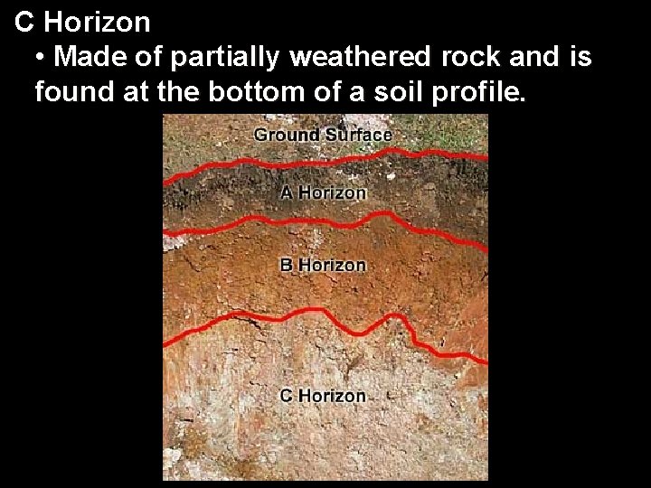 C Horizon • Made of partially weathered rock and is found at the bottom
