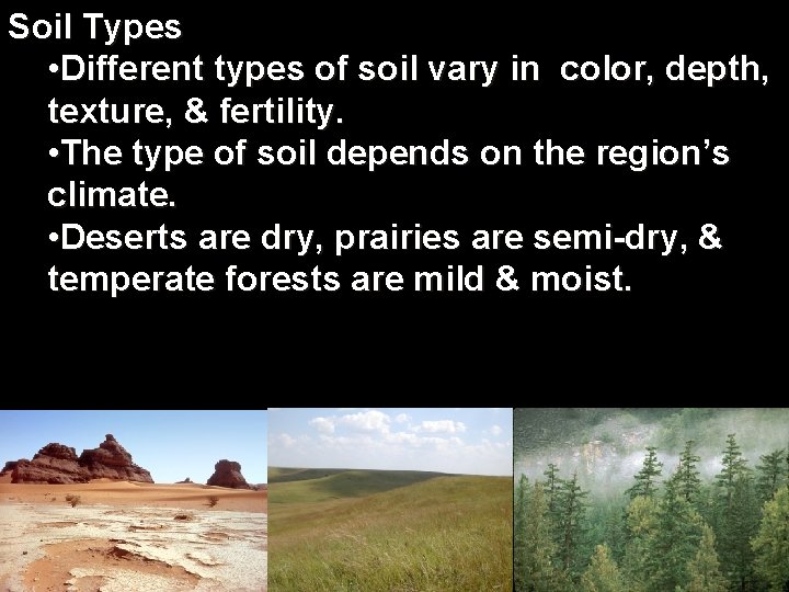 Soil Types • Different types of soil vary in color, depth, texture, & fertility.