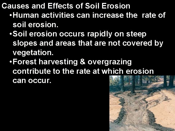 Causes and Effects of Soil Erosion • Human activities can increase the rate of