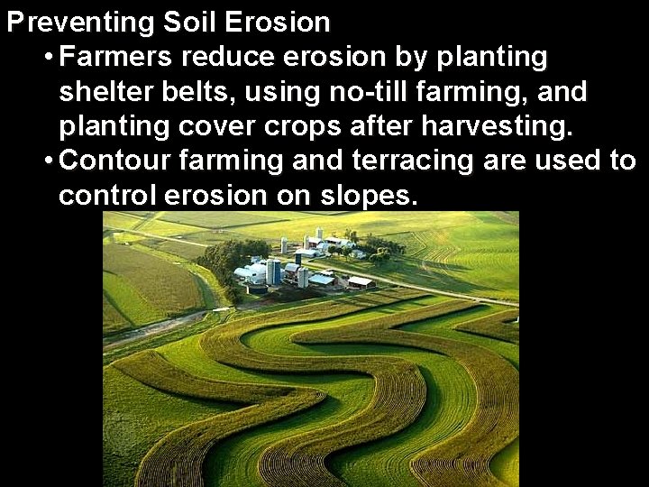 Preventing Soil Erosion • Farmers reduce erosion by planting shelter belts, using no-till farming,