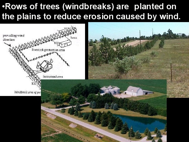  • Rows of trees (windbreaks) are planted on the plains to reduce erosion