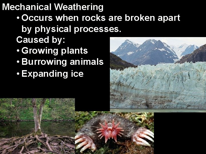 Mechanical Weathering • Occurs when rocks are broken apart by physical processes. Caused by: