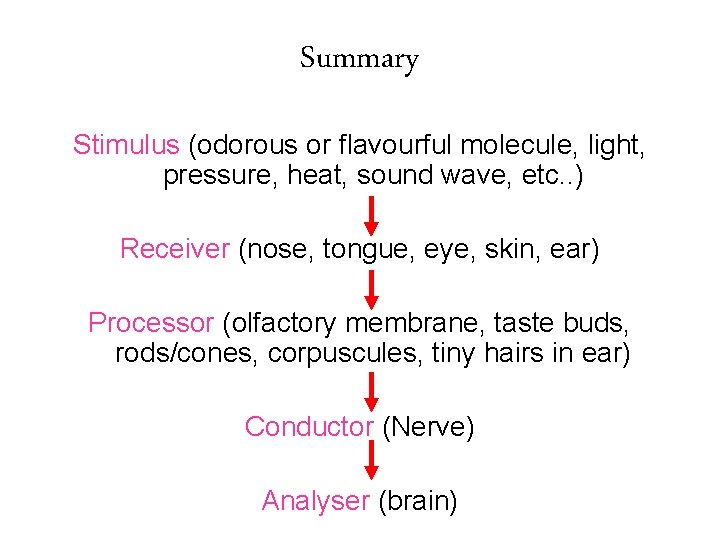 Summary Stimulus (odorous or flavourful molecule, light, pressure, heat, sound wave, etc. . )
