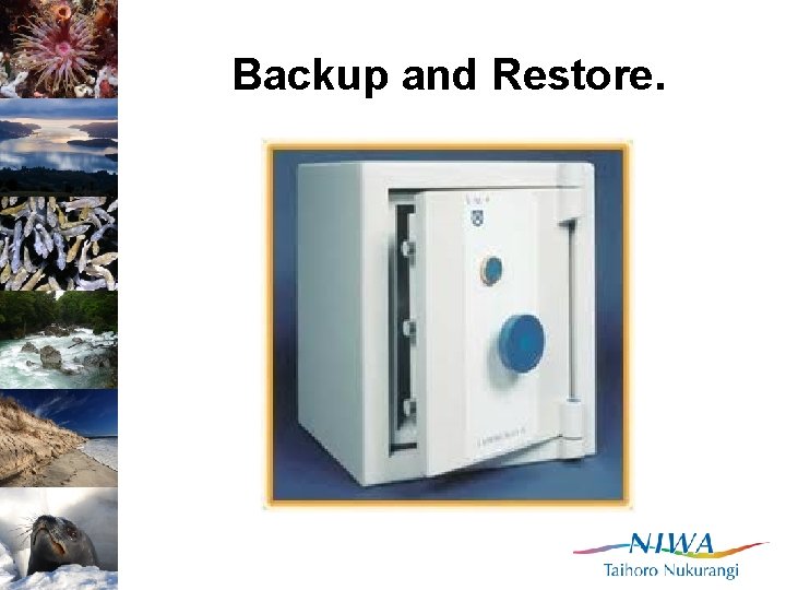 Backup and Restore. 