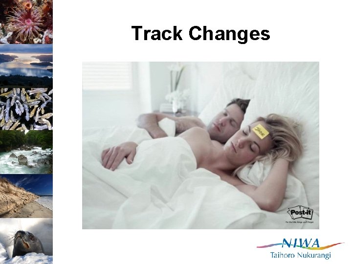 Track Changes 