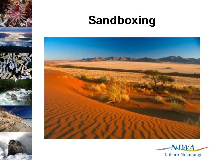 Sandboxing 