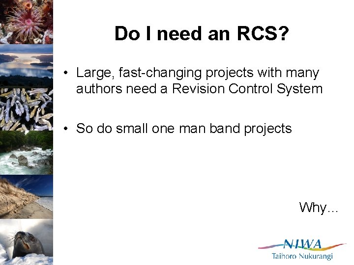 Do I need an RCS? • Large, fast-changing projects with many authors need a