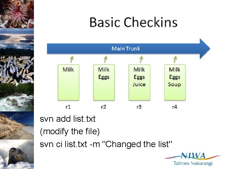 svn add list. txt (modify the file) svn ci list. txt -m "Changed the