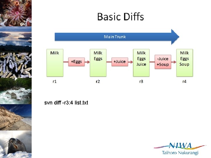 svn diff -r 3: 4 list. txt 