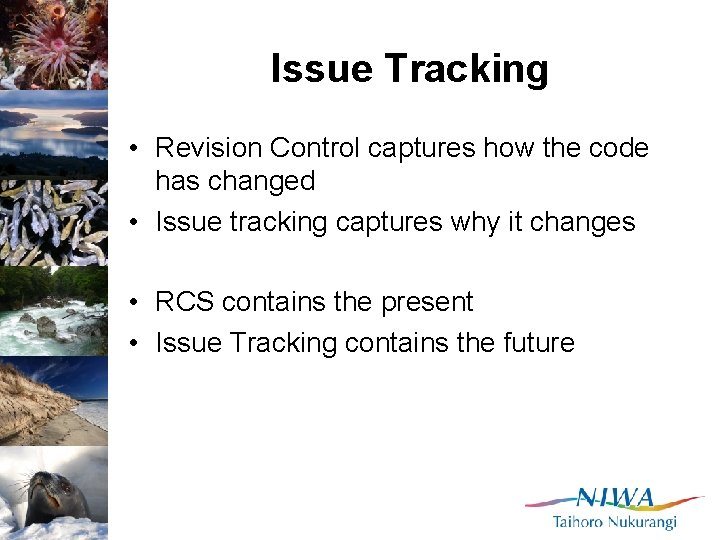 Issue Tracking • Revision Control captures how the code has changed • Issue tracking