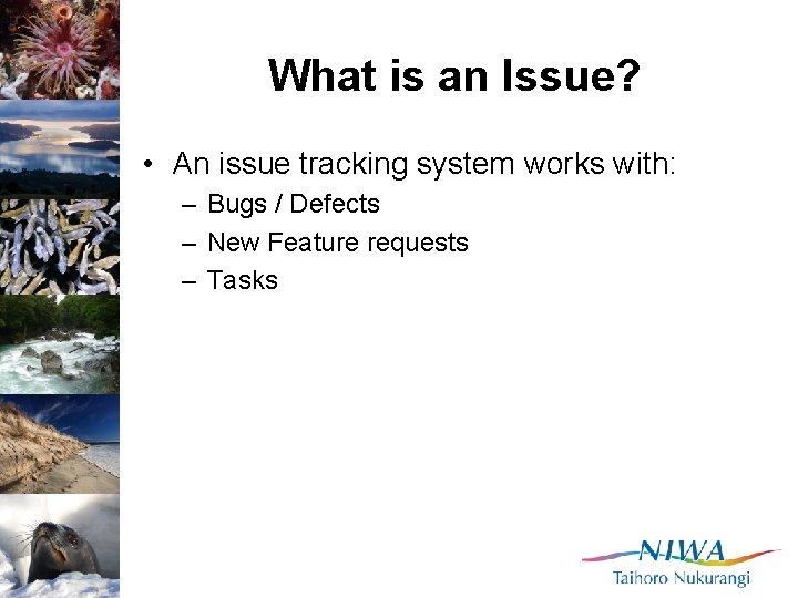 What is an Issue? • An issue tracking system works with: – Bugs /