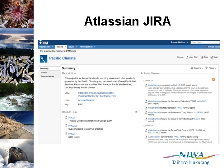 Atlassian JIRA 