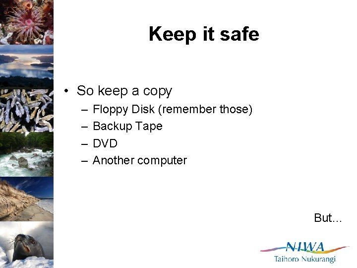 Keep it safe • So keep a copy – – Floppy Disk (remember those)