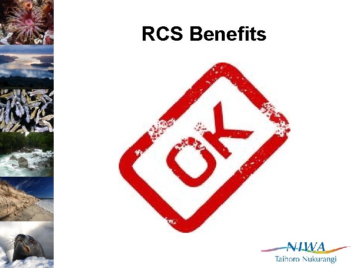 RCS Benefits 