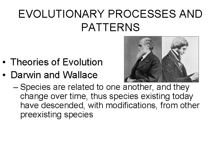 EVOLUTIONARY PROCESSES AND PATTERNS • Theories of Evolution • Darwin and Wallace – Species EVOLUTIONARY PROCESSES AND PATTERNS • Theories of Evolution • Darwin and Wallace – Species