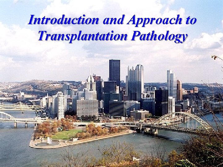 Introduction and Approach to Transplantation Pathology 