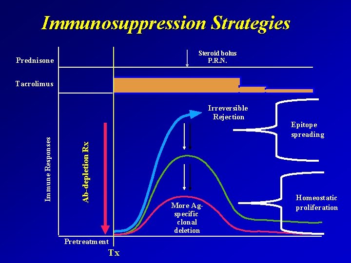 Immunosuppression Strategies Steroid bolus P. R. N. Prednisone Tacrolimus Ab-depletion Rx Immune Responses Irreversible