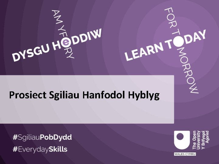 Prosiect Sgiliau Hanfodol Hyblyg 