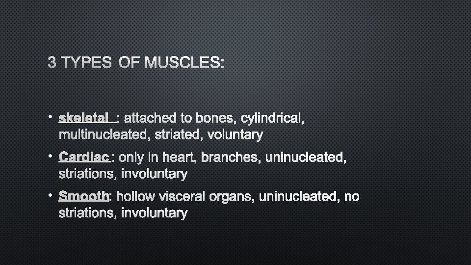 3 TYPES OF MUSCLES: • SKELETAL: ATTACHED TO BONES, CYLINDRICAL, MULTINUCLEATED, STRIATED, VOLUNTARY •