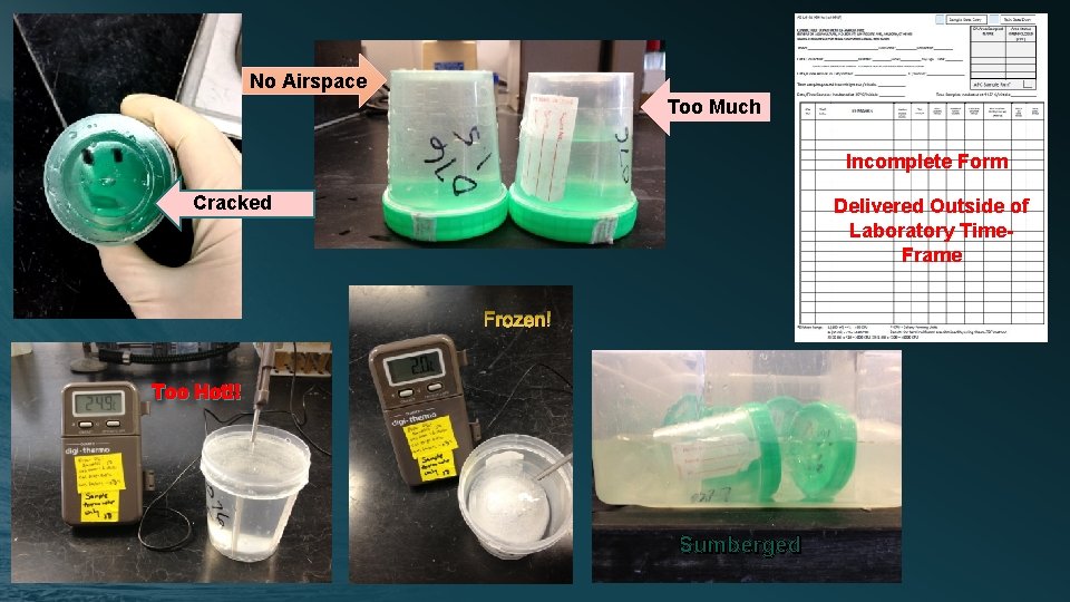 No Airspace Too Much Incomplete Form Cracked Delivered Outside of Laboratory Time. Frame Frozen!