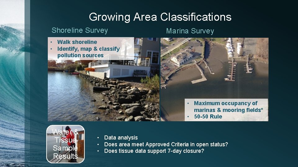Growing Area Classifications Shoreline Survey Marina Survey • Walk shoreline • Identify, map &