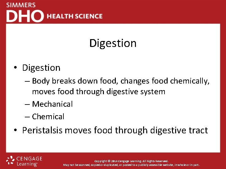 Digestion • Digestion – Body breaks down food, changes food chemically, moves food through