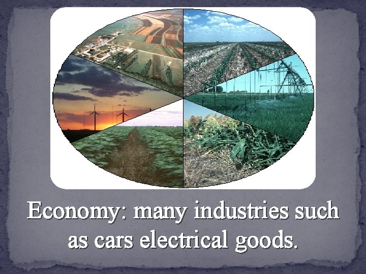 Economy: many industries such as cars electrical goods. 