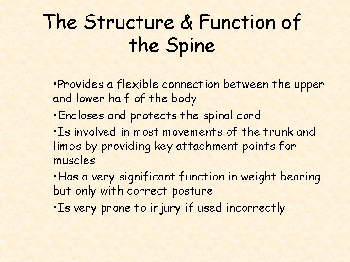 The Structure & Function of the Spine • Provides a flexible connection between the