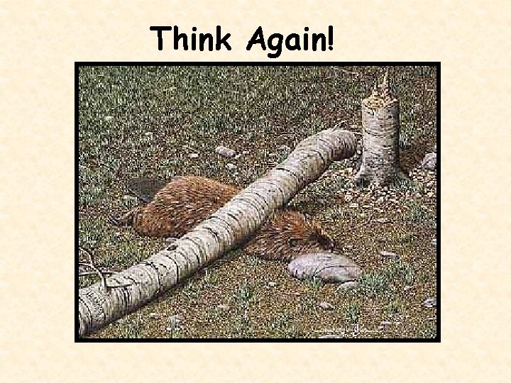 Think Again! 