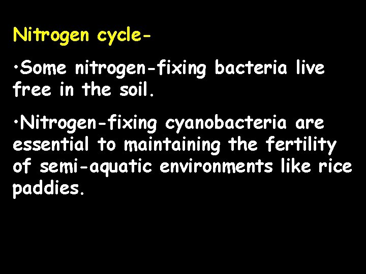 Nitrogen cycle- • Some nitrogen-fixing bacteria live free in the soil. • Nitrogen-fixing cyanobacteria