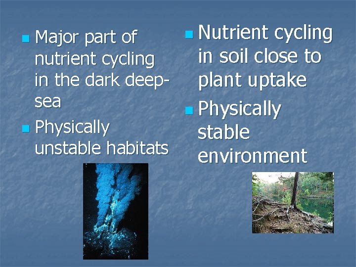 Major part of nutrient cycling in the dark deepsea n Physically unstable habitats n