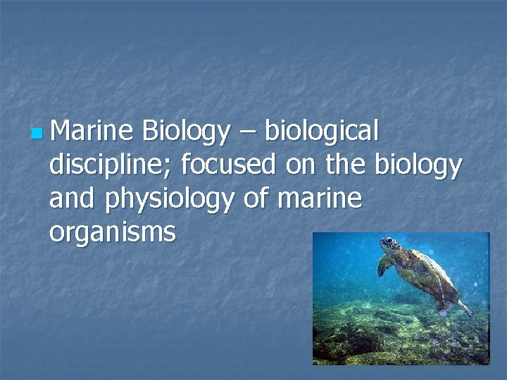 n Marine Biology – biological discipline; focused on the biology and physiology of marine