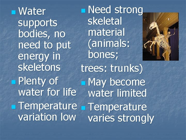 n Water supports bodies, no need to put energy in skeletons n Plenty of