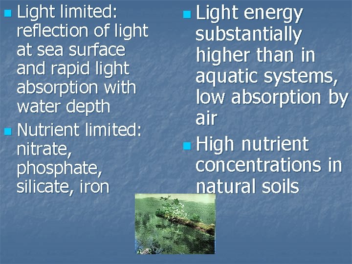 Light limited: reflection of light at sea surface and rapid light absorption with water