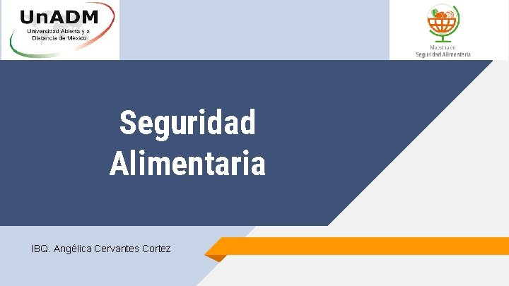 Seguridad Alimentaria IBQ. Angélica Cervantes Cortez 