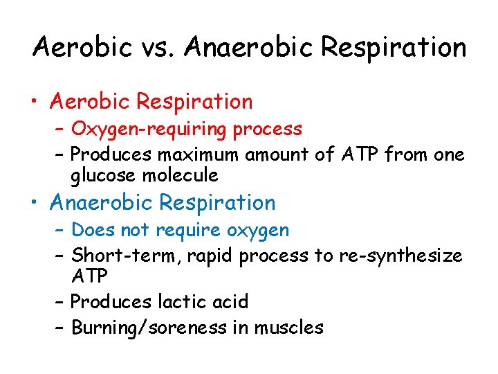 Aerobic vs. Anaerobic Respiration • Aerobic Respiration – Oxygen-requiring process – Produces maximum amount