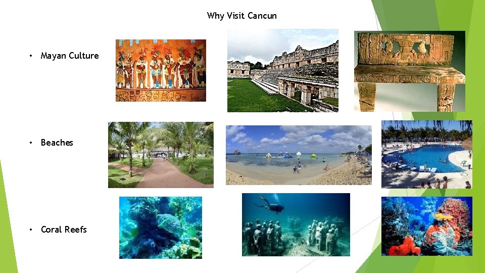 Why Visit Cancun • Mayan Culture • Beaches • Coral Reefs 