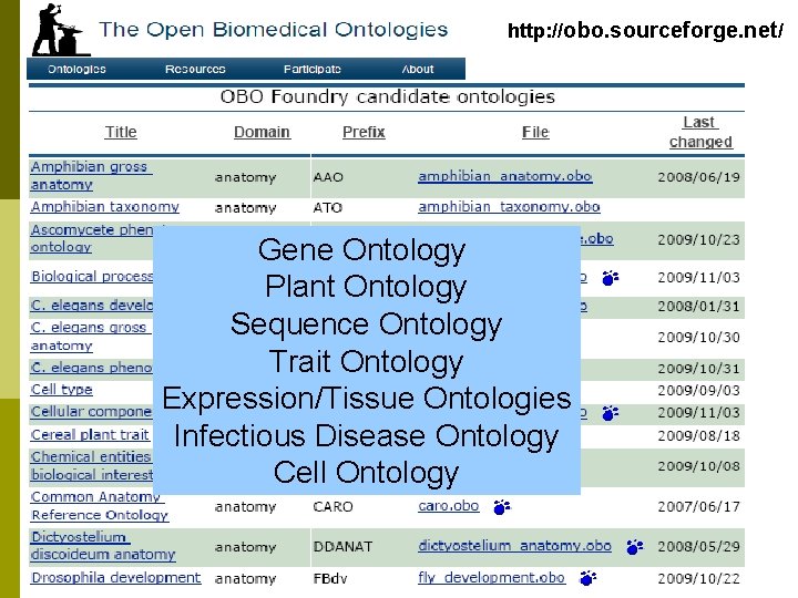http: //obo. sourceforge. net/ Gene Ontology Plant Ontology Sequence Ontology Trait Ontology Expression/Tissue Ontologies