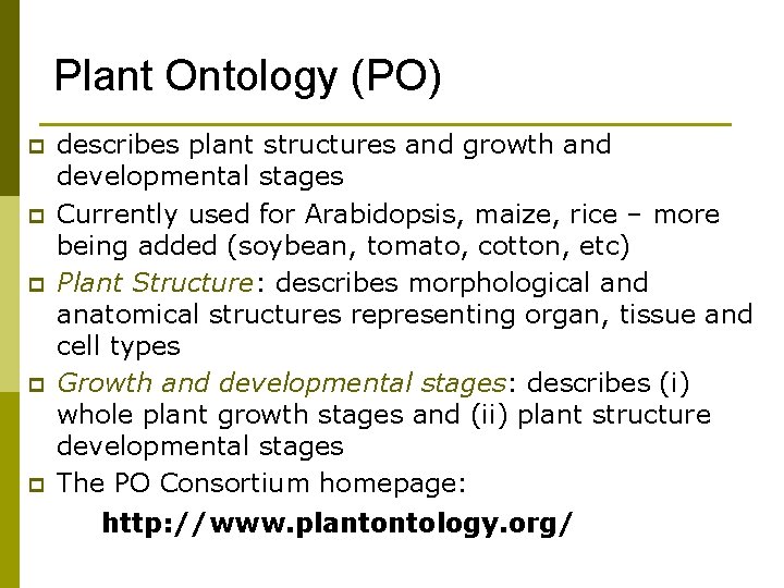 Plant Ontology (PO) p p p describes plant structures and growth and developmental stages