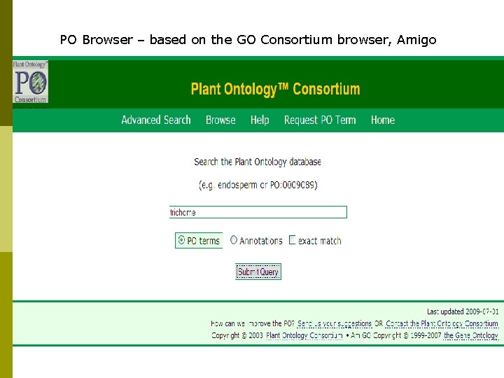 PO Browser – based on the GO Consortium browser, Amigo 