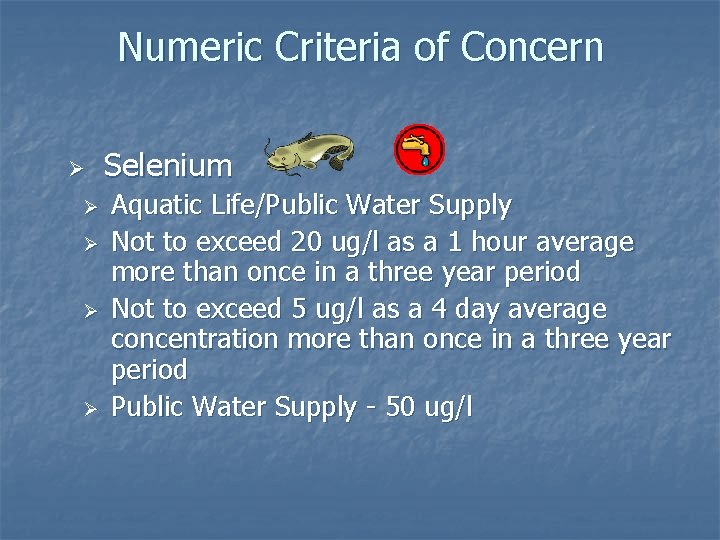 Numeric Criteria of Concern Ø Ø Ø Selenium Aquatic Life/Public Water Supply Not to