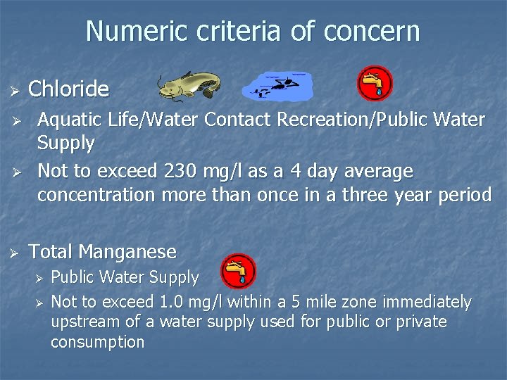 Numeric criteria of concern Ø Ø Chloride Aquatic Life/Water Contact Recreation/Public Water Supply Not