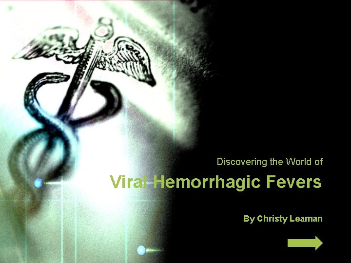 Discovering the World of Viral Hemorrhagic Fevers By Christy Leaman 